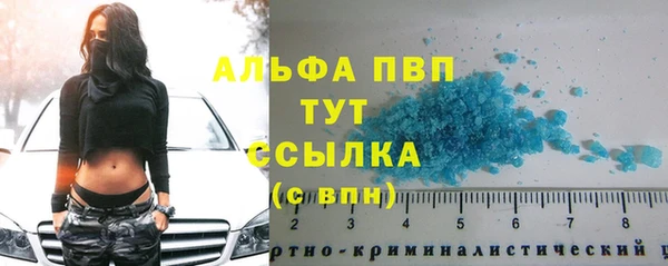 гидра Алексеевка