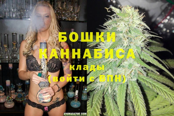 гидра Алексеевка