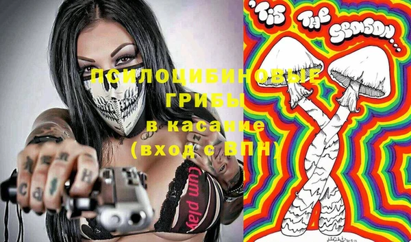 гидра Алексеевка