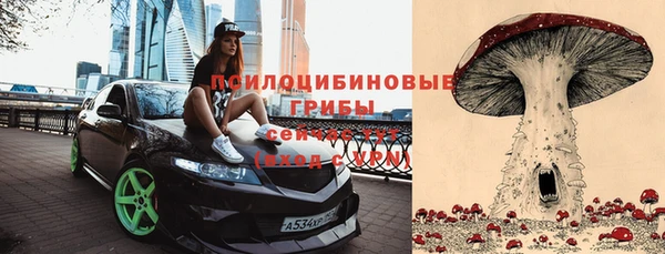 гидра Алексеевка