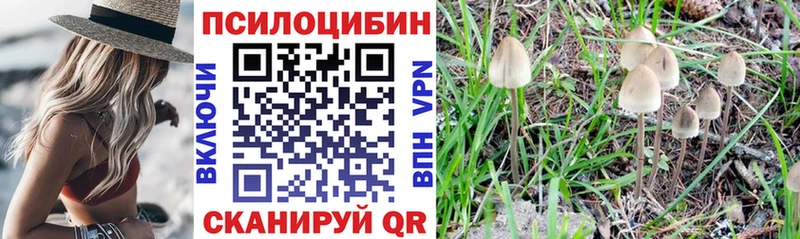 hydra рабочий сайт  что такое наркотик  сайты даркнета формула  Псилоцибиновые грибы мухоморы  Выкса 