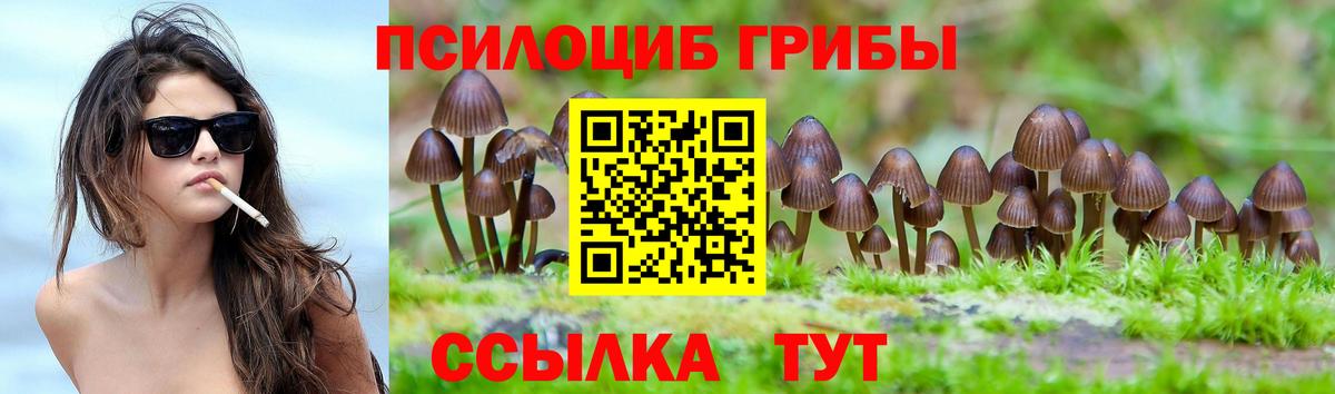 Галлюциногенные грибы Psilocybe  Вход с VPN  закладка  Выкса 
